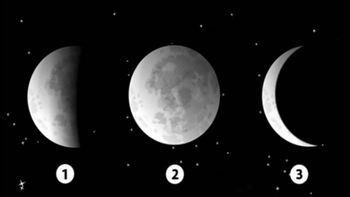 Quiz: Bạn bị thu hút bởi kiểu người nào?