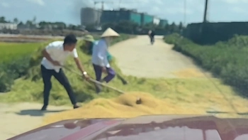 Xúc động cảnh tài xế ô tô giúp hai cụ dọn lúa giữa trưa nắng