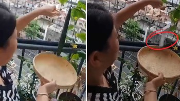 Sau 3 tháng chăm sóc cuối cùng cũng được gặt hái thành quả