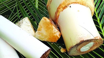 Đặng Phong thực phả (hay những công thức nấu ăn độc đáo của một sử gia kinh tế)