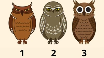 Quiz: Bạn đang chờ đợi một thông điệp gì?