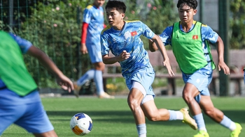 Giải U19 Đông Nam Á 2026: U19 Việt Nam có đủ sức vô địch?