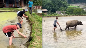 Du khách Tây trải nghiệm cách làm ruộng của bà con Tây Bắc