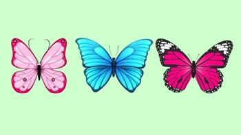 Quiz: Phong cách sống của bạn như thế nào?