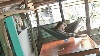 Người phụ nữ hét toáng vì được 'bé Na' ghé thăm