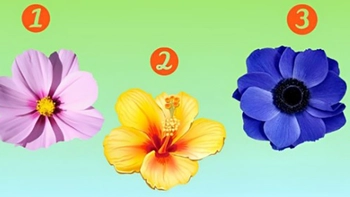 Quiz: Bạn đáng yêu đến mức nào?