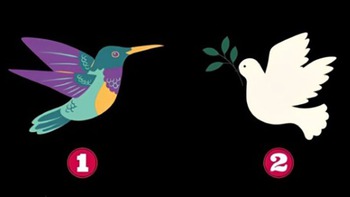Quiz: Bạn được người khác nhìn nhận như thế nào?