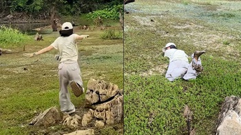 Cô gái 'vồ ếch' khi đi rừng Cúc Phương săn bướm