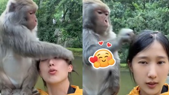 Cô gái nhờ khỉ lấy bụi bẩn trên đầu siêu đáng yêu