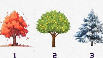 Quiz: Bạn phù hợp với môi trường nào?