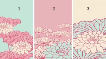 Quiz: Vận may nào đang chờ đón bạn phía trước?