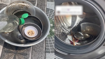 Thanh niên hướng dẫn cách rửa bát bằng máy giặt