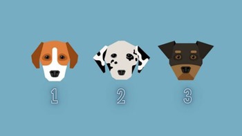 Quiz: Bạn luôn giữ thái độ ôn hòa?