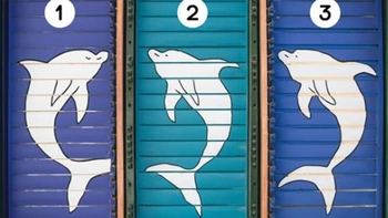 Quiz: Bạn thông minh đến mức nào?