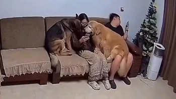 Cô chủ bị chó cưng bám chặt như hình với bóng