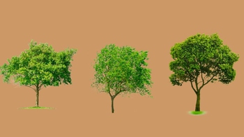 Quiz: Bạn linh hoạt hay là người sở hữu tư duy sâu sắc?