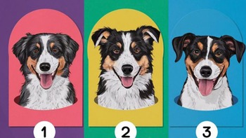 Quiz: Bạn thuộc kiểu người lãnh đạo nào?