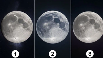 Quiz: Bạn là người có lòng đồng cảm sâu sắc?