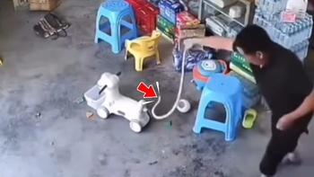 Ông chú tóm gọn 'bé Na' bằng tay không siêu đỉnh