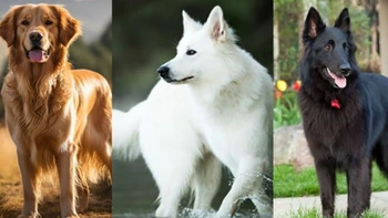 Quiz: Mọi người xung quanh xem bạn là người thế nào?