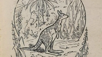 Mắt 10/10 mới thấy 3 con kangaroo trong hình