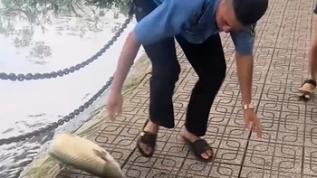 Anh bảo vệ không 'bắt cá hai tay' bao giờ