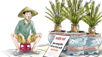 Shop cây kiểng hỗ trợ truy xuất nguồn gốc