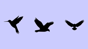 Quiz: Triết lý sống của bạn là gì?
