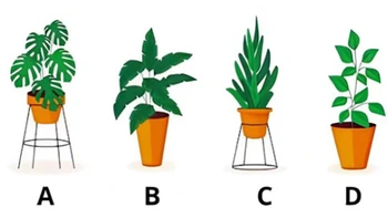 Quiz: Bạn cởi mở, hướng ngoại hay là người sống nội tâm?