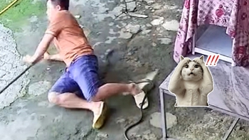 Vợ bật cười khi vô tình xem được cảnh chồng bắt 'bé Na'