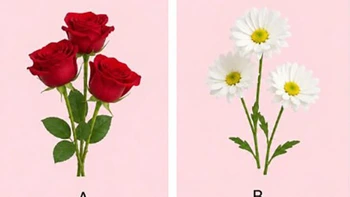Quiz: Vận mệnh của bạn gắn liền với điều gì?