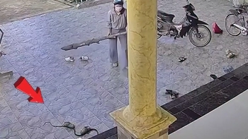Pha bắt rắn siêu cồng kềnh