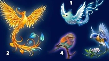 Quiz: Vận may nào đang chờ đợi bạn phía trước?