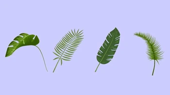 Quiz: Sứ mệnh cuộc đời bạn là gì?