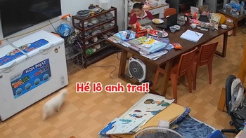 Cậu chủ mừng như bắt được vàng khi thấy chó cưng 'mất tích' trở về