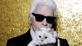 Cô mèo giàu nhất thế giới giờ ra sao sau khi Karl Lagerfeld qua đời?