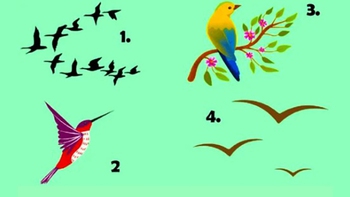 Quiz: Bạn khiêm tốn hay là người tự cao?