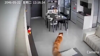 Hào hứng check camera mới, cô gái ngã ngửa với chất lượng 'vượt' mong đợi