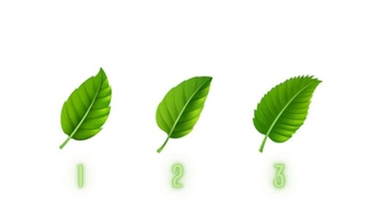 Quiz: Điểm mạnh lớn nhất của bạn là gì?