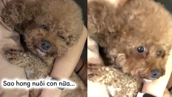 Chọn con tim hay là nghe lý trí?!