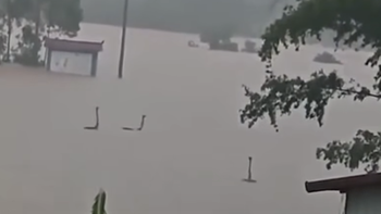 Có thật 'quái vật hồ Loch Ness' xuất hiện trong lũ ở Trung Quốc?