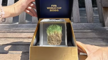 Vì sao mảnh cỏ sân chung kết World Cup giá gần 12 triệu đồng?