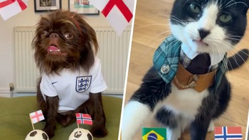 Dàn thú cưng 'tiên tri' gây sốt giữa mùa World Cup 2026