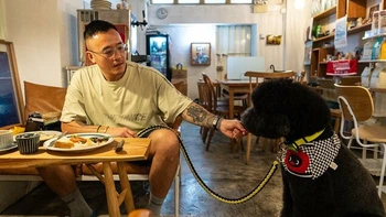 Nhà hàng Hong Kong mở cửa chào đón 'thực khách bốn chân'
