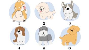 Quiz: Bạn cần tập trung điều gì lúc này?