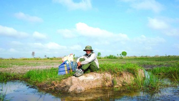 Hiểu chim để hiểu thiên nhiên Việt Nam