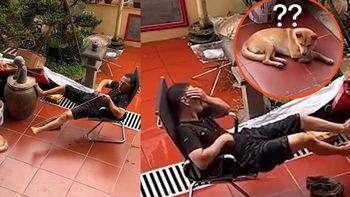 Thanh niên gặp quả báo ngay sau khi trêu chó