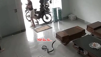 Cô gái hét toáng vì phát hiện có 'bé Na' ghé thăm nhà