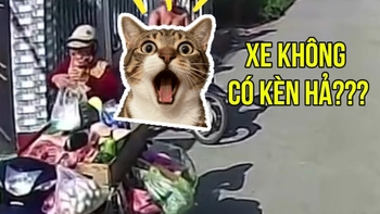 Làm tài xế khó lắm, phải đâu chuyện đùa