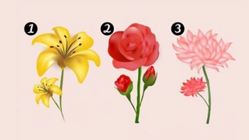 Quiz: Thiên thần hộ mệnh đang mách bảo bạn điều gì?